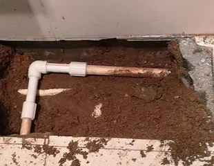 黄州测漏水哪家好