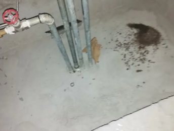 黄州卫生间测漏水价格明细